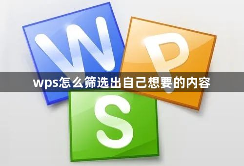 wps怎么筛选出自己想要的内容