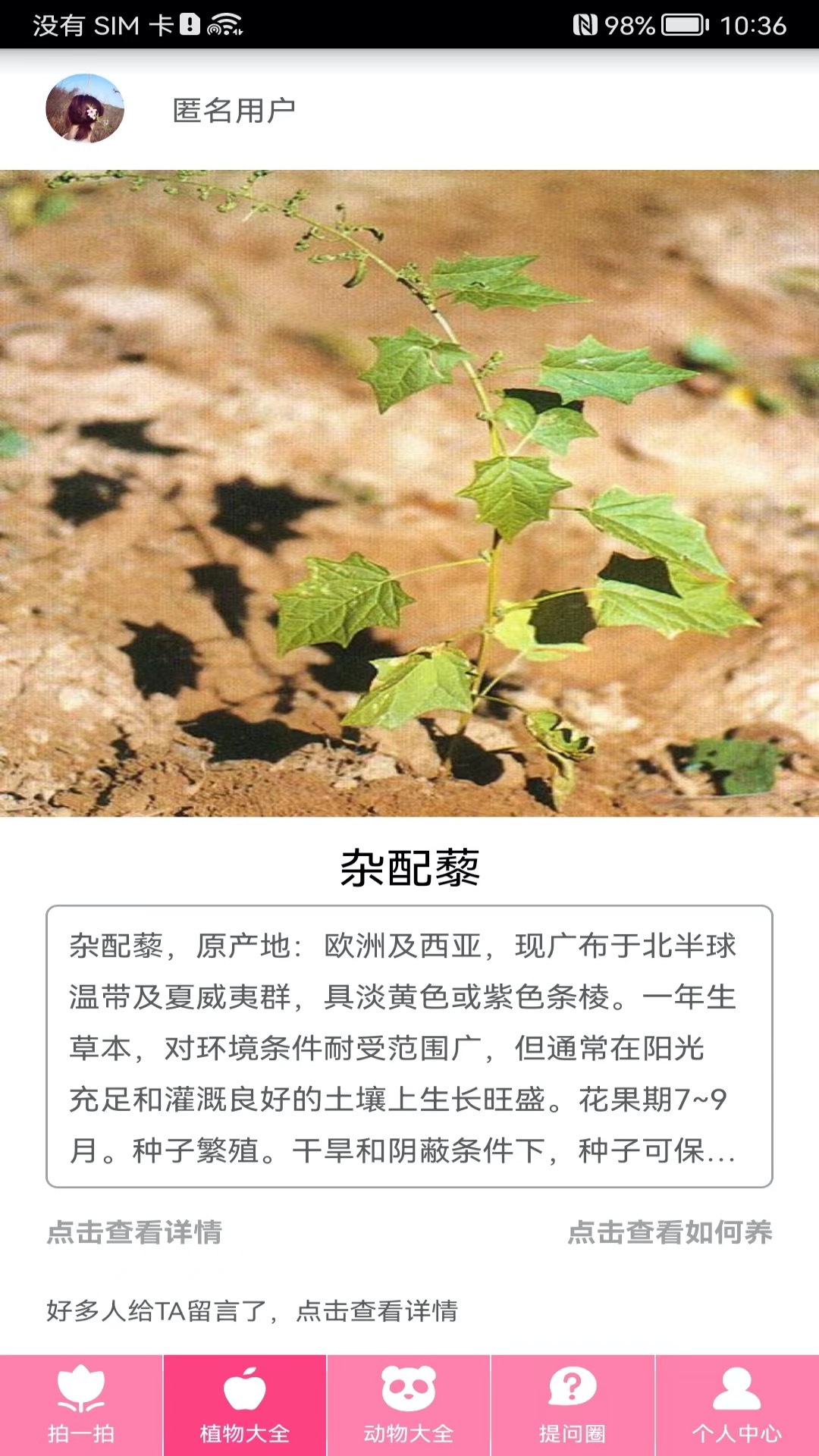 拍照识物3