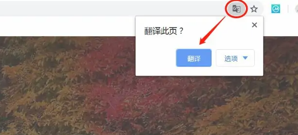 谷歌浏览器翻译功能在哪打开