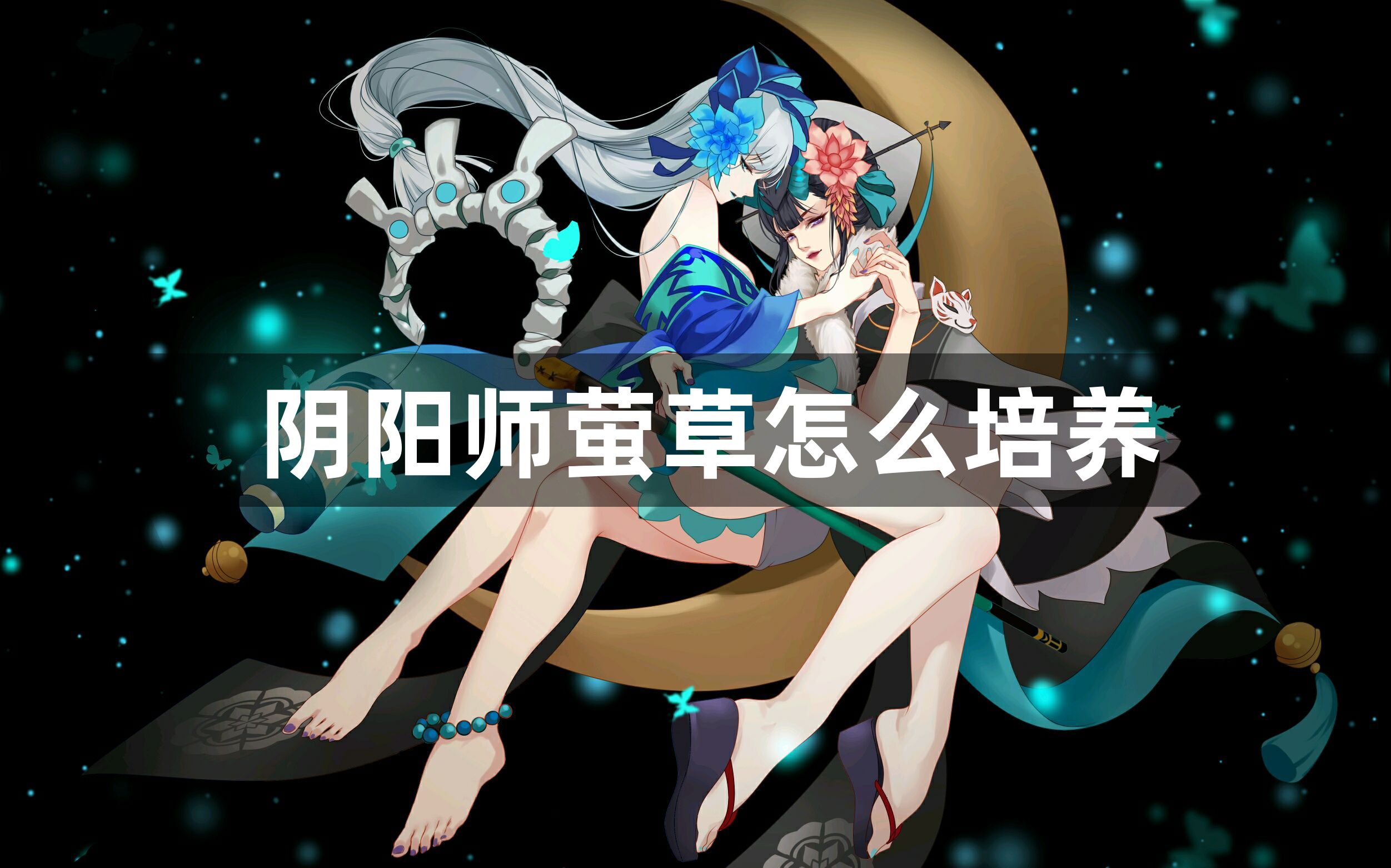 阴阳师萤草怎么培养