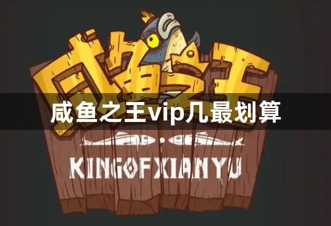 咸鱼之王vip几最划算