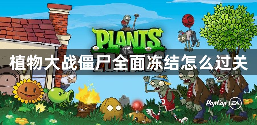 植物大战僵尸全面冻结怎么过关