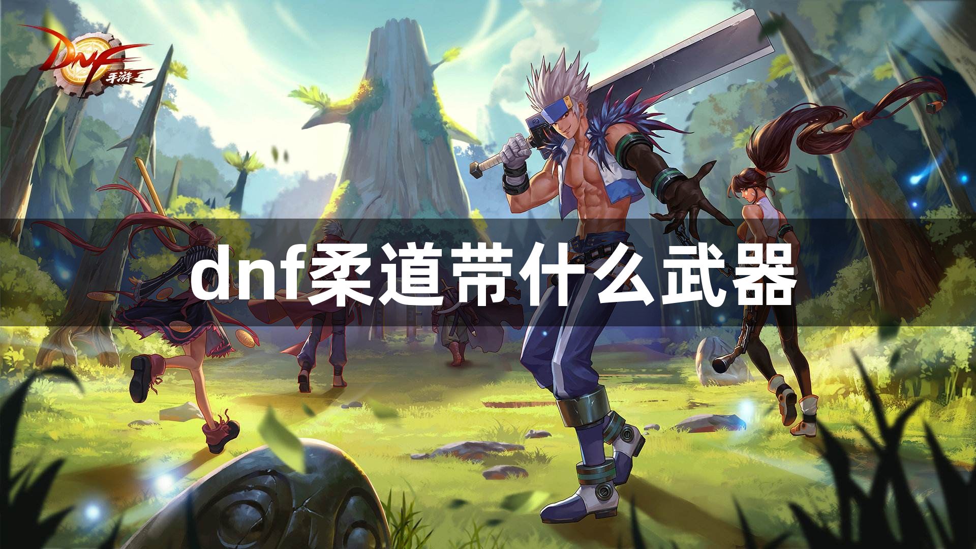 dnf柔道带什么武器