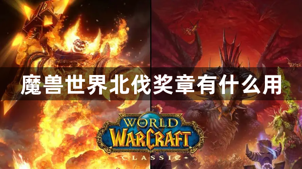 魔兽世界北伐奖章有什么用